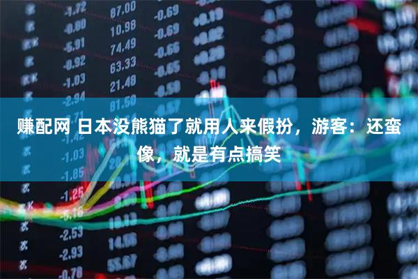 赚配网 日本没熊猫了就用人来假扮，游客：还蛮像，就是有点搞笑