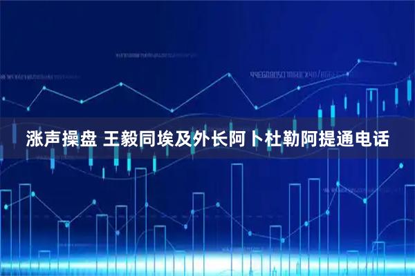 涨声操盘 王毅同埃及外长阿卜杜勒阿提通电话