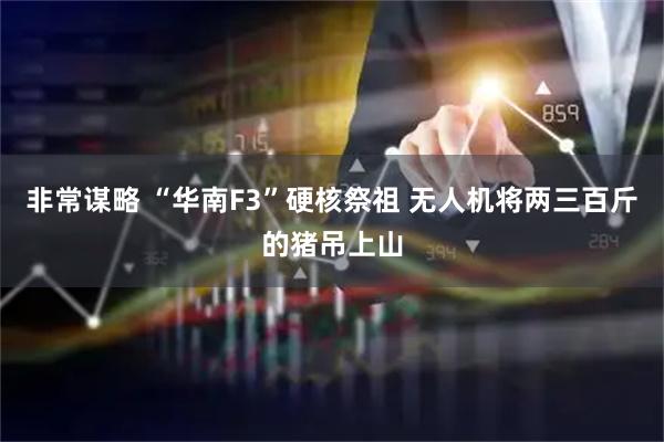 非常谋略 “华南F3”硬核祭祖 无人机将两三百斤的猪吊上山