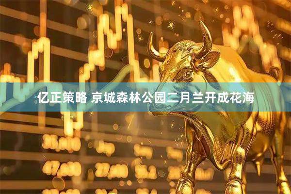 亿正策略 京城森林公园二月兰开成花海
