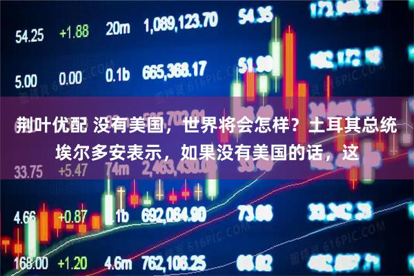 荆叶优配 没有美国，世界将会怎样？土耳其总统埃尔多安表示，如果没有美国的话，这