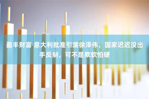 盈丰财富 意大利批准引渡徐泽伟，国家迟迟没出手反制，可不是欺软怕硬