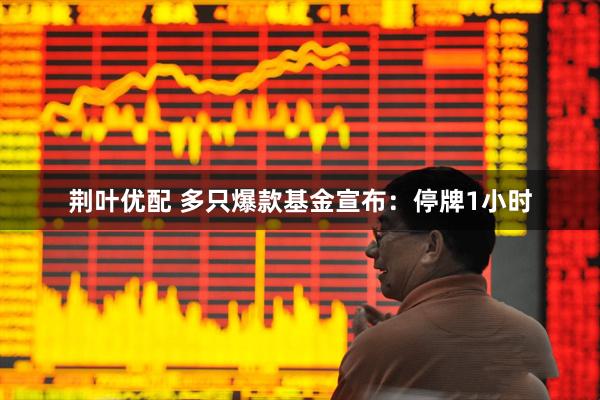 荆叶优配 多只爆款基金宣布：停牌1小时